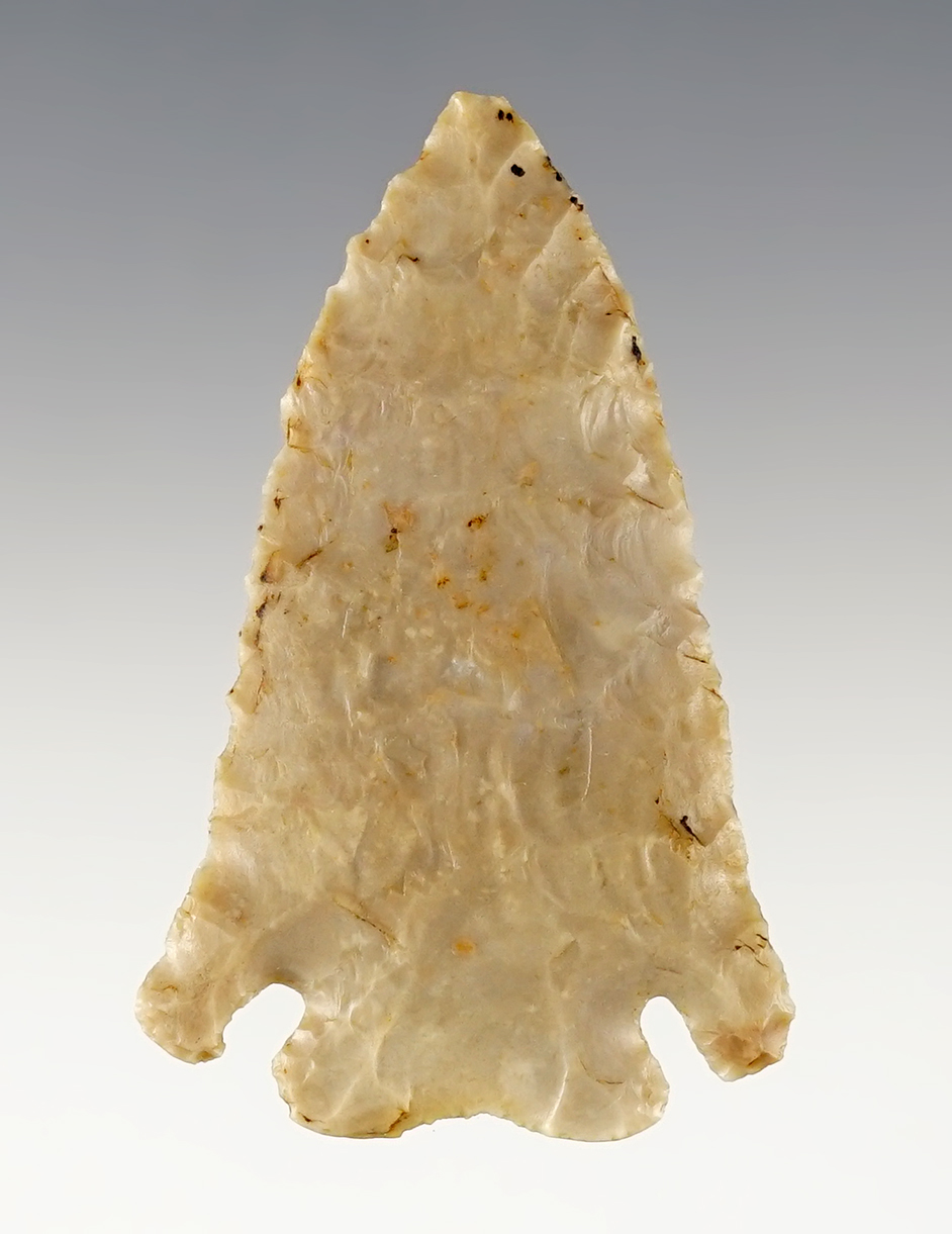 Nicely styled 1 15/16" Kentucky Pinetree with well defined shoulders. Davis COA, G-9.