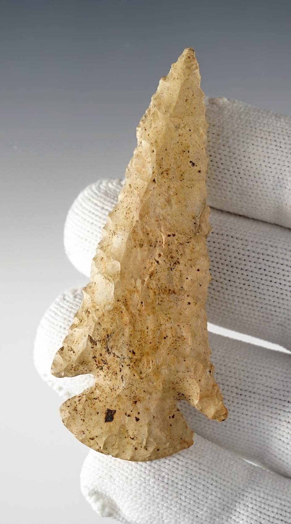 Classic styled 3 1/8" Dovetail found in Paulding Co., Ohio. Bennett COA.