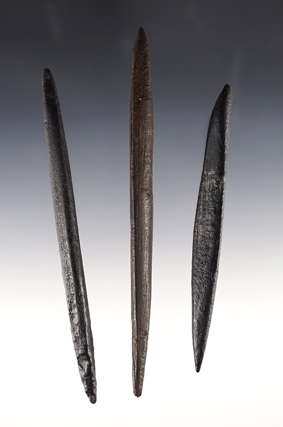 Set of 3 well patinated Bone Projectile Points found in Florida. The largest is 5 13/16".
