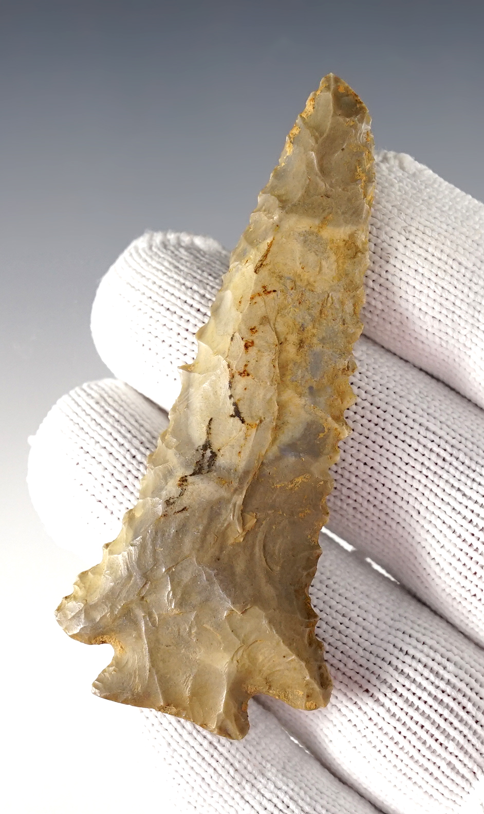 3 1/8" heavily serrated Pinetree found in the Ohio/Kentucky area. Excellent basal grinding.