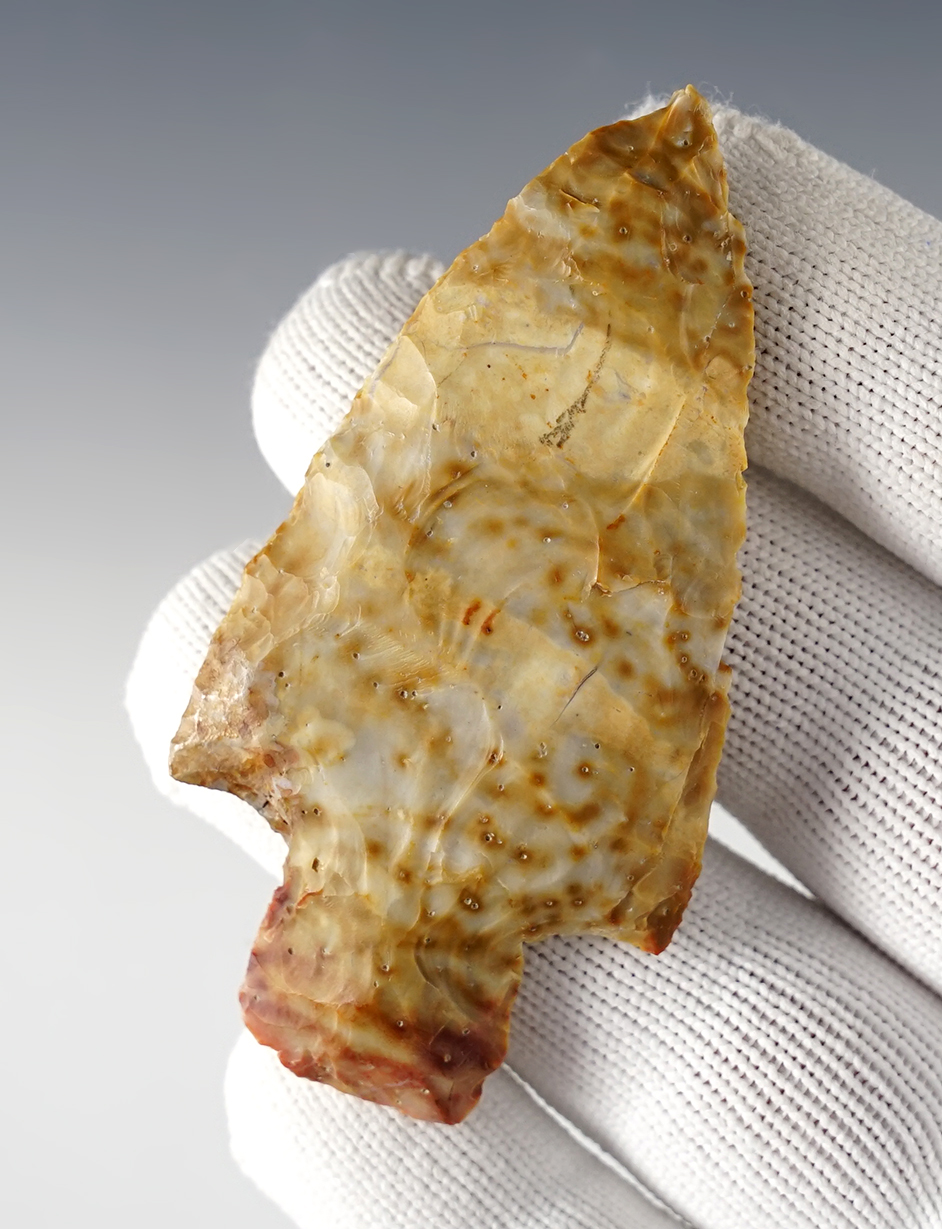 3" Apple Creek that was once wired to a board. Southern Missouri. Bennett COA.