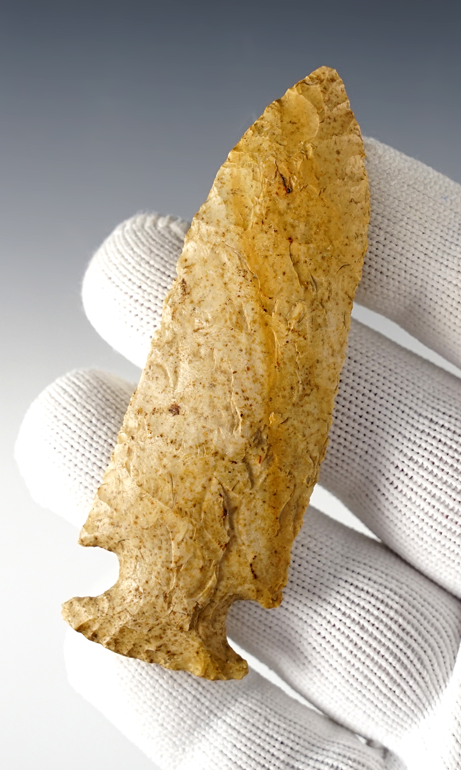 Nicely colored 3 3/8" Cupp - Benton Co., Missouri. Bailey Chert. Bennett COA.