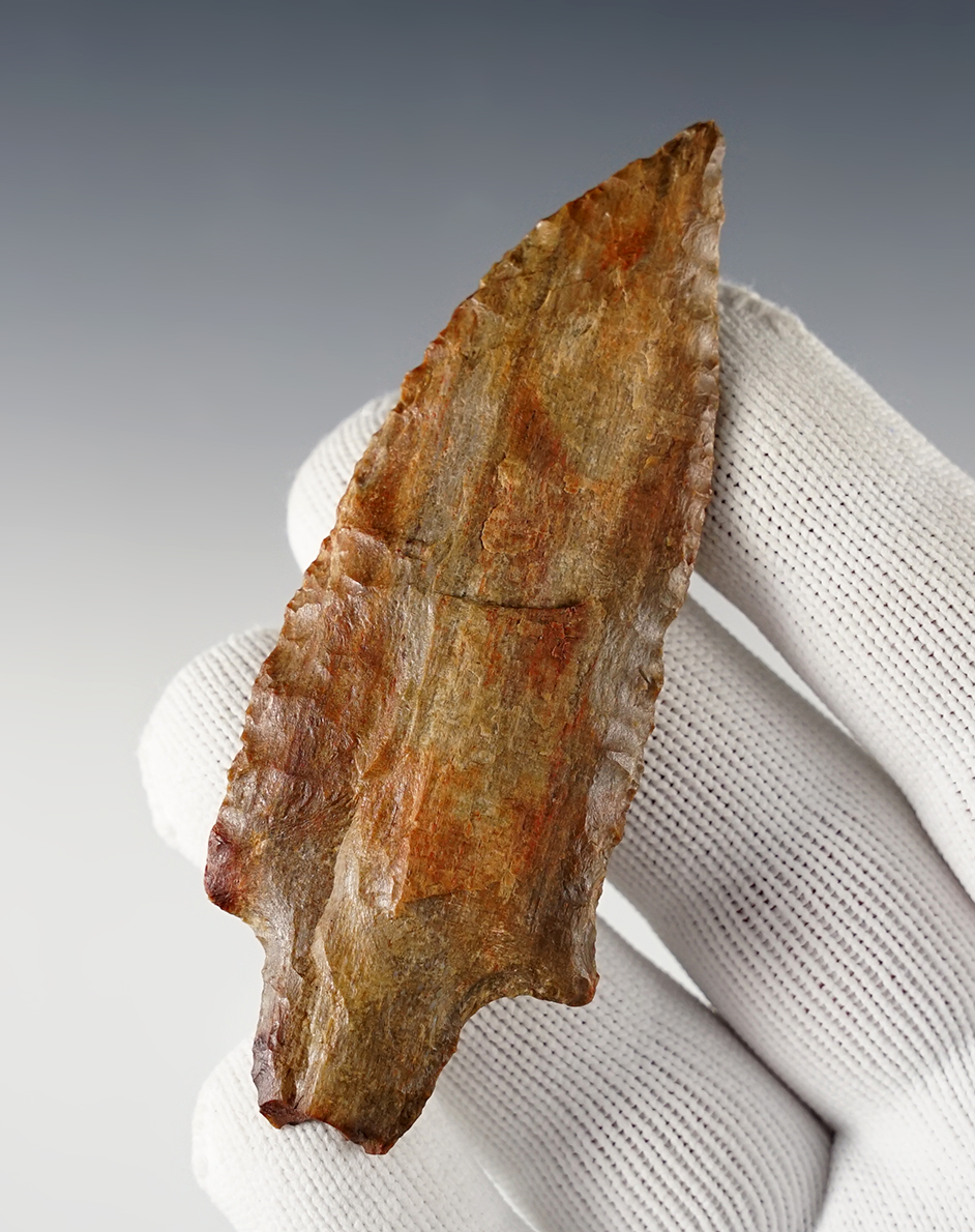 3 1/2" Pogo made from colorful brown and tan Petrified Wood. NW Louisiana. Rogers COA.