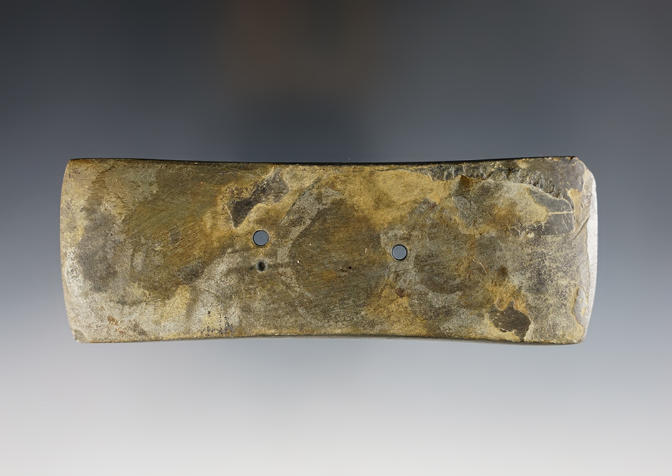 Large 5 3/8" Gorget found in the Ohio area. Nicely styled. Ex. Heacock collection.