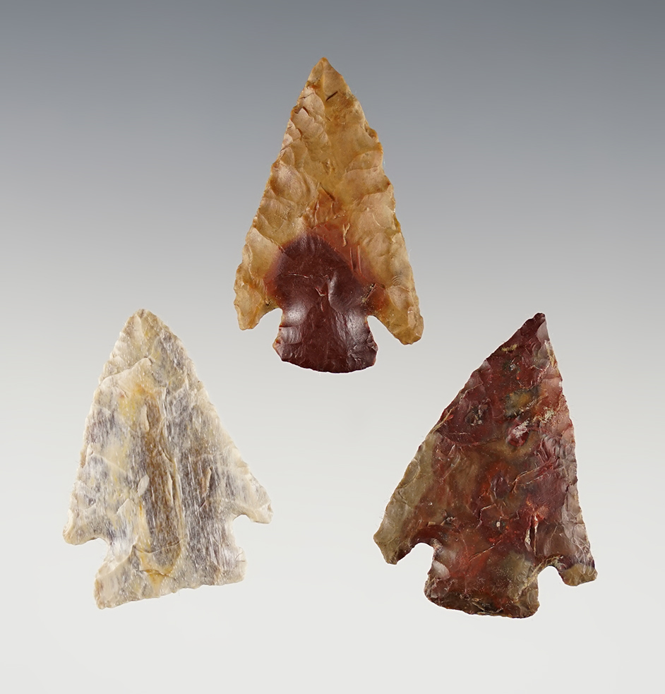 Set of 3 well made Cornernotch points - Washington/Oregon area. The largest is 1 5/16".