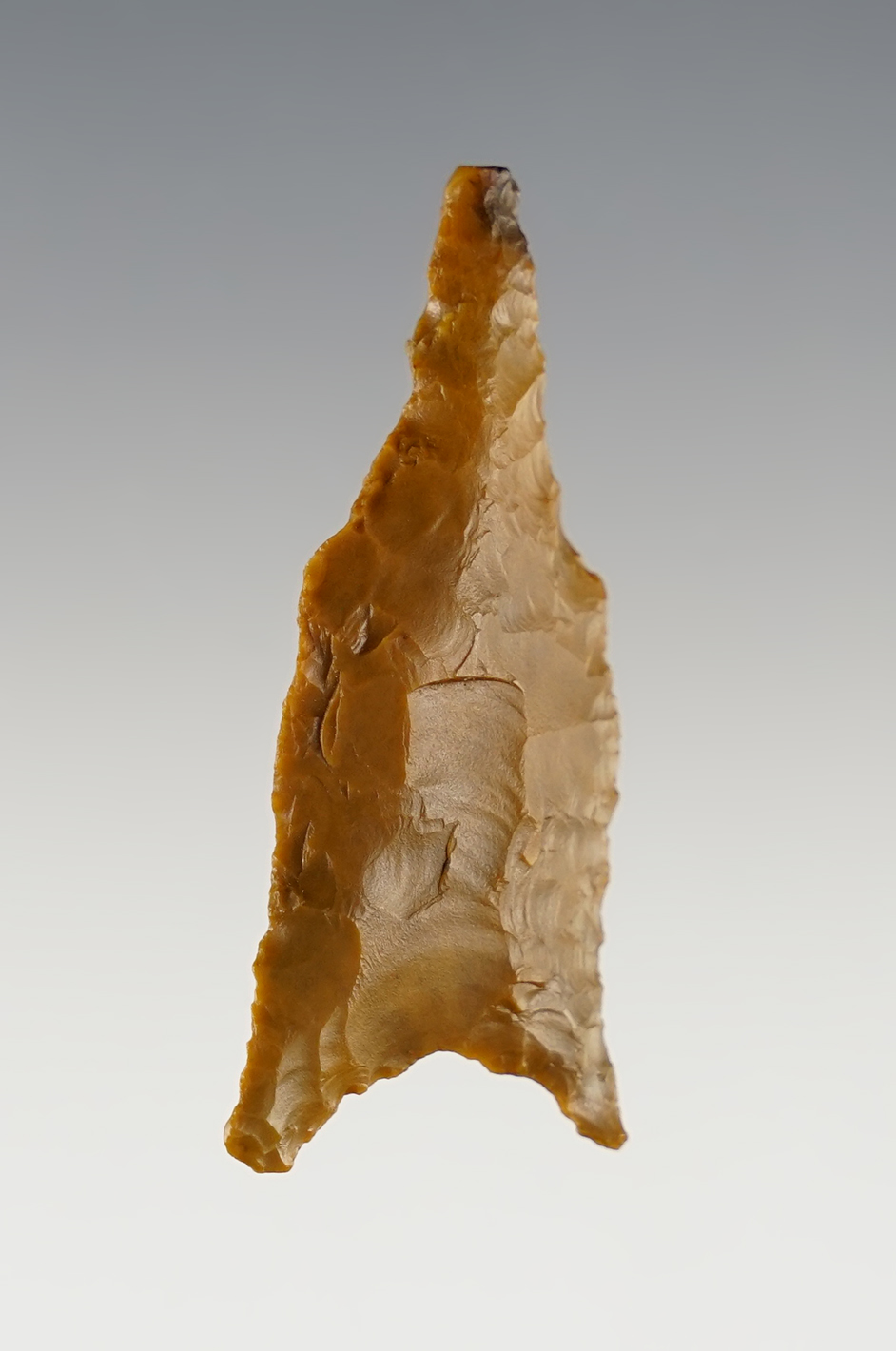 1 13/16" Southern Illinois Dalton Drill in excellent condition. Ex. Mack Ashman.