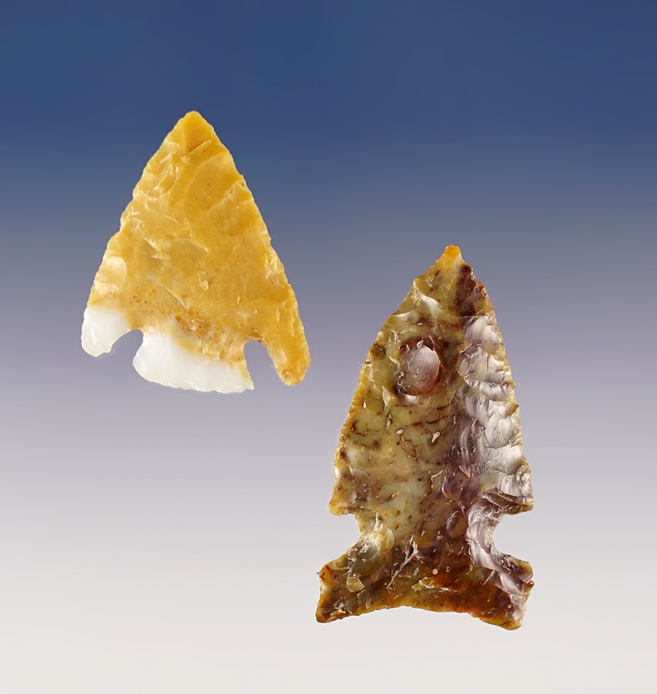 Pair of well flaked points found near the Columbia River in the Washington/Oregon area. 