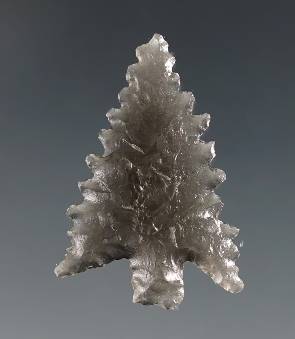 Incredible serrations on this 1 1/8" Calapooya made from translucent Obsidian.  N. California. 