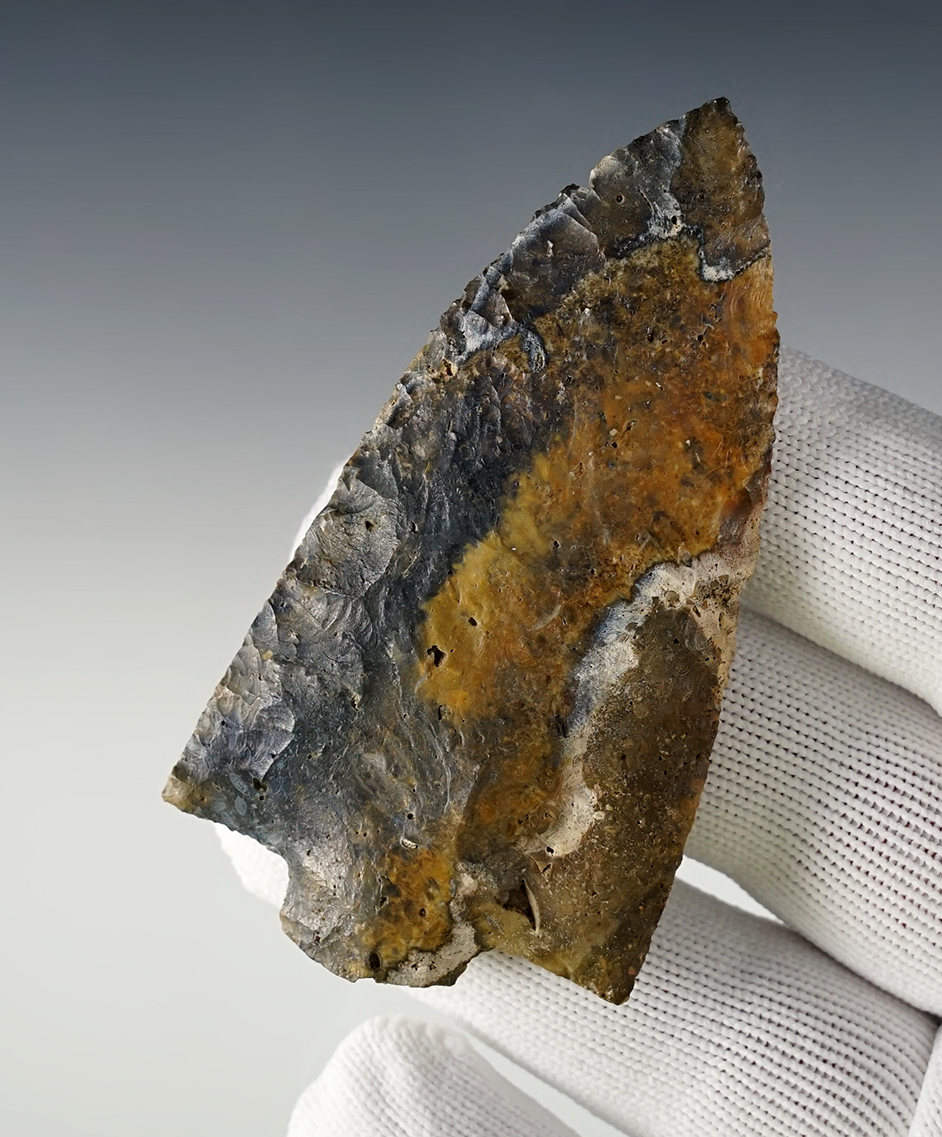 3 3/16" Marion with an anciently snapped base. Agatized Coral. Found in Florida.  COA. 