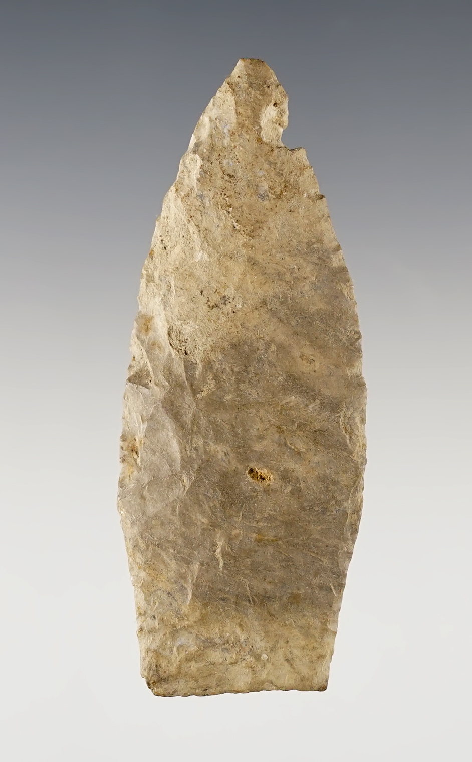 Nice 2 3/4" Paleo Lancolate found in Ohio. There is an old fossil inclusion at the tip. 