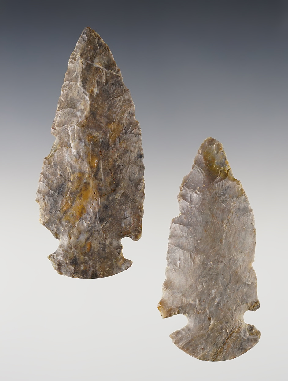 Pair of highly restorable Ohio Dovetails found by Larry Morris. The largest is 3 1/2".