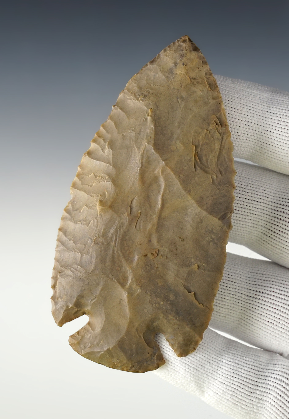 3 11/16" well flaked Dovetail - Hornstone with some rechip to the tip area. Found in Indiana. 