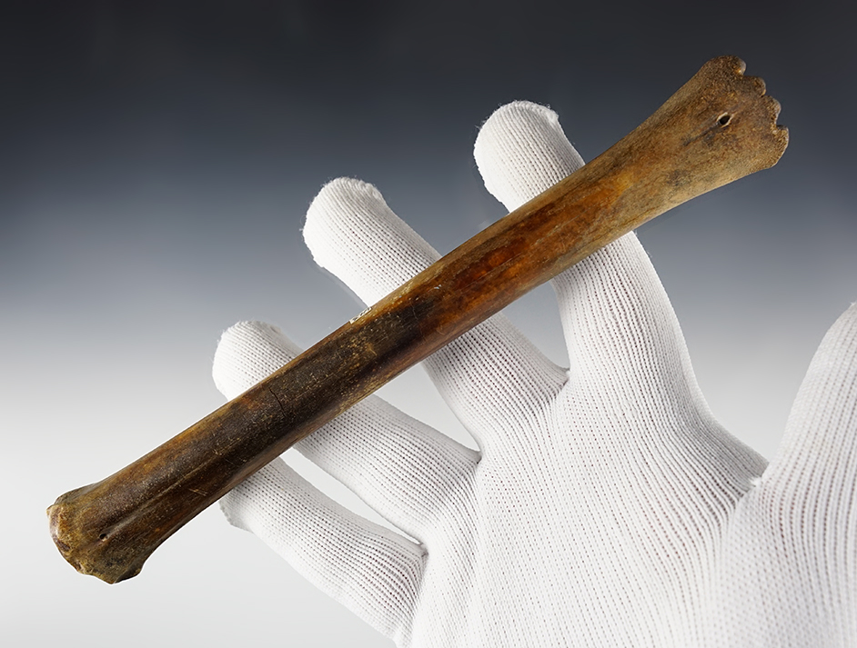 Patinated 7 3/4" Bone Tool used for processing hides. Fox Field Site in Mason Co., Kentucky.