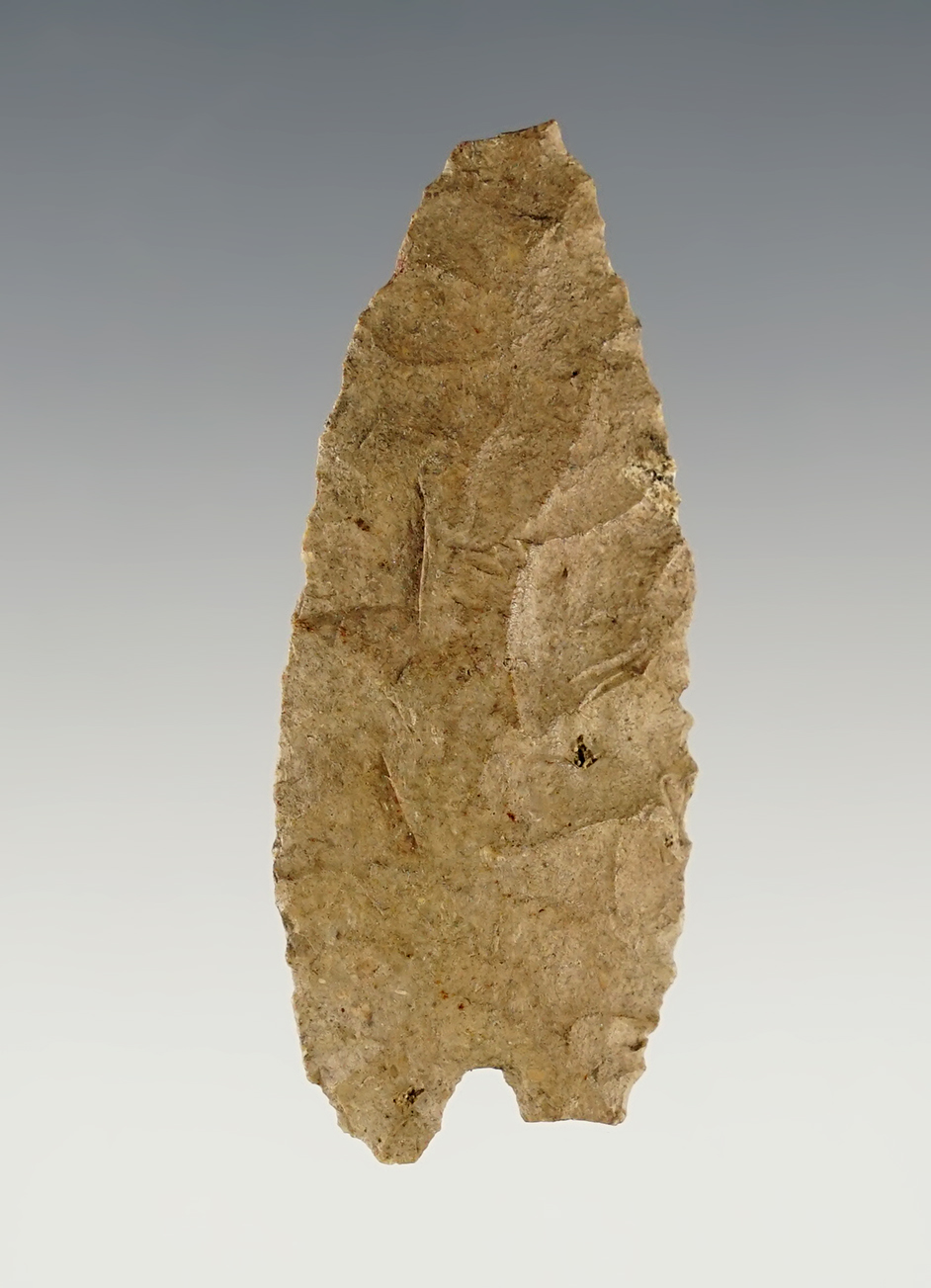 2 1/8" Wheeler Excurvate made from Ft. Payne Chert. Found in Tennessee. Davis COA. 