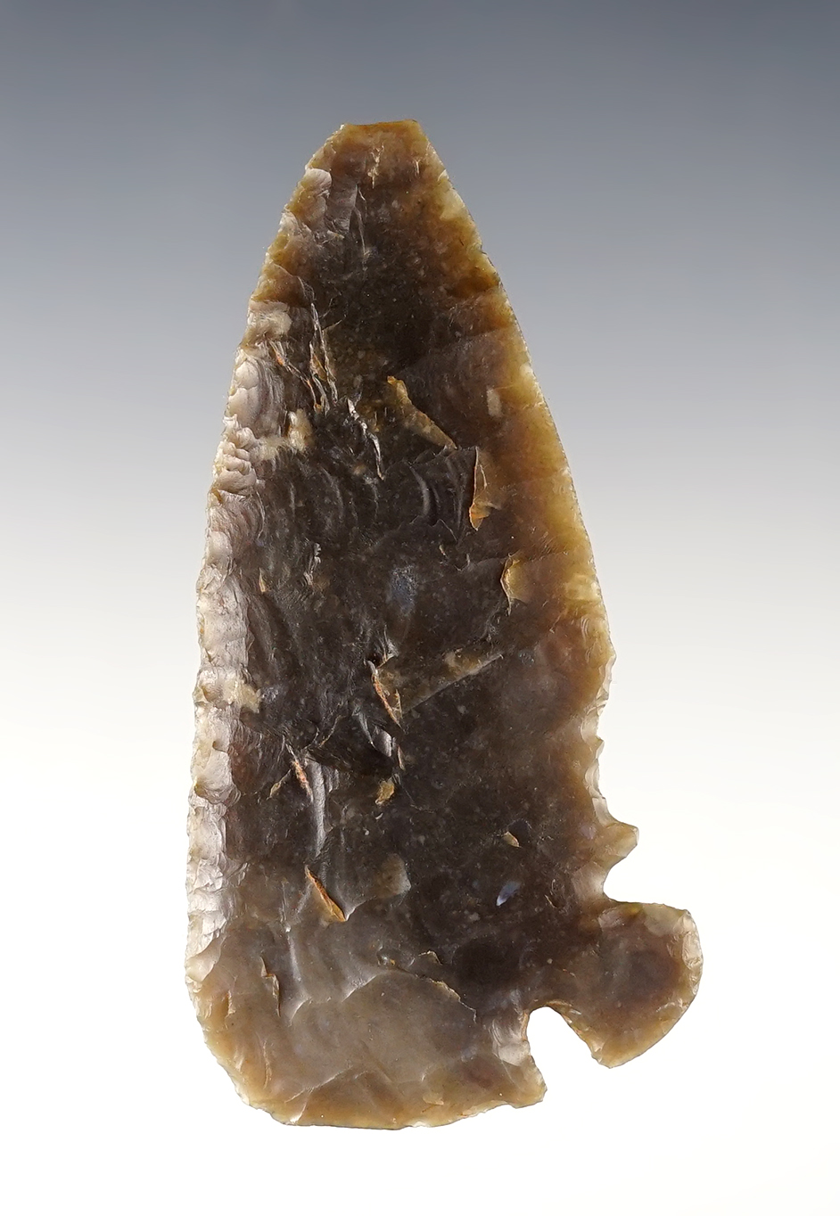 Nice flaking on this 3 5/16" Corner Tang Knife found in Central Texas. Rogers COA.