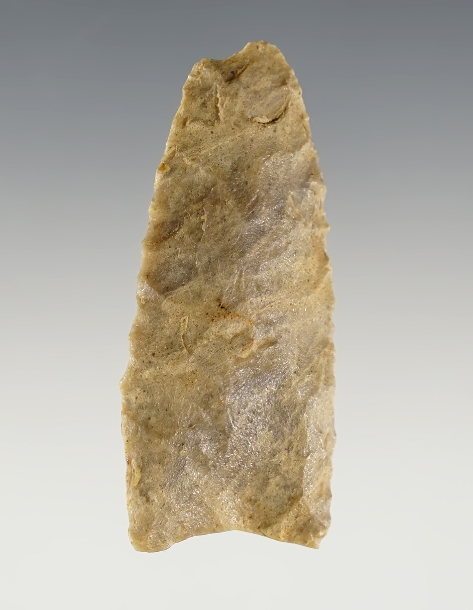 2 1/8" Paleo Fluted Clovis - ancient impact fracture. Colorado. Ex Knowlton. Stermer COA