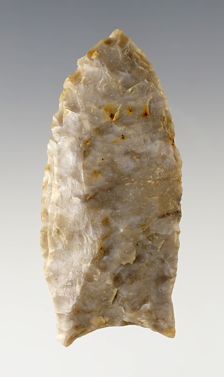 2 1/8" Auriculate Paleo Dart point with excellent grinding to the basal area. Found in Ohio.