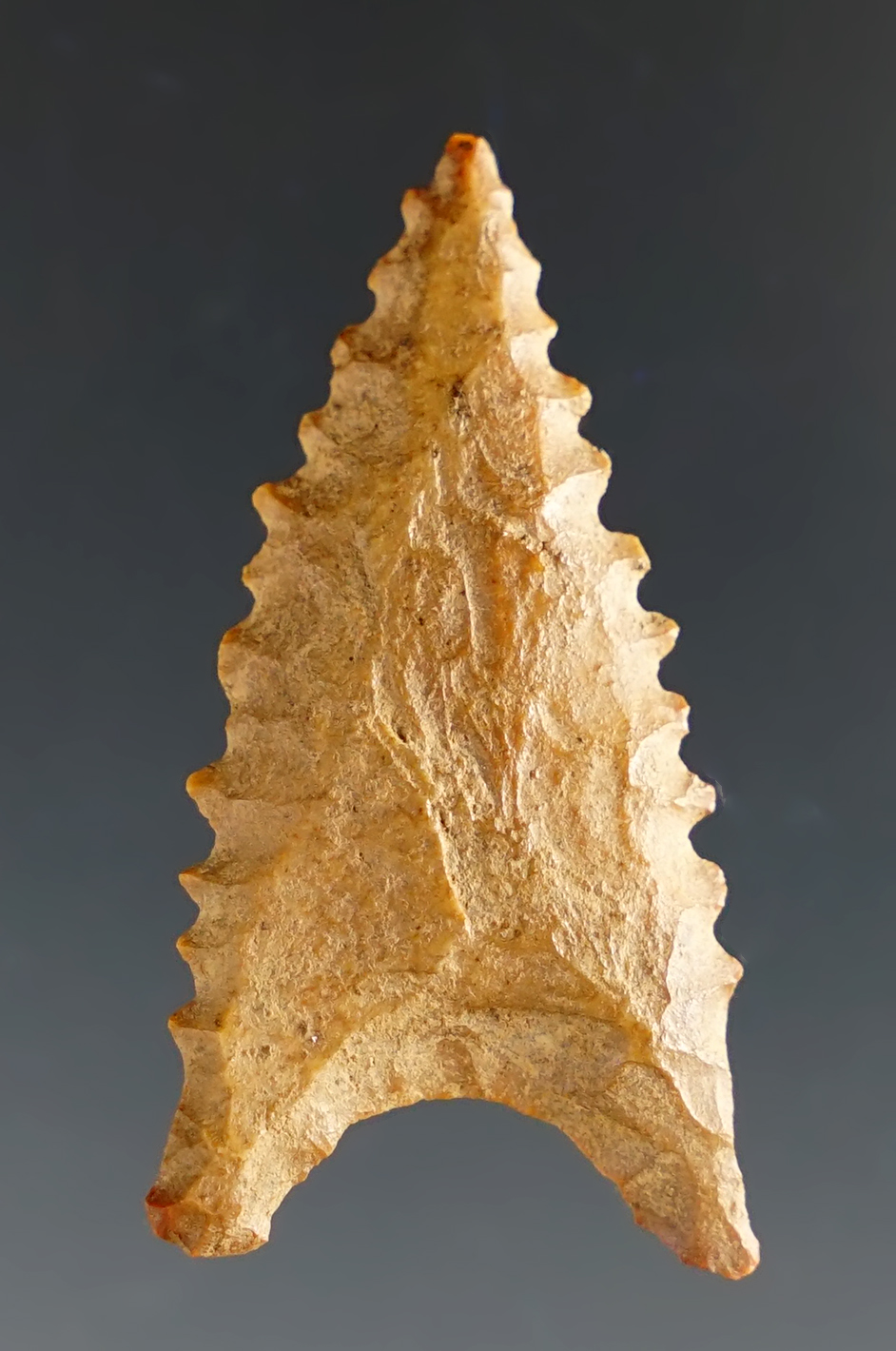 Finely serrated 1 9/16" Dalton made from patinated Cobble Chert. Found in Arkansas. 