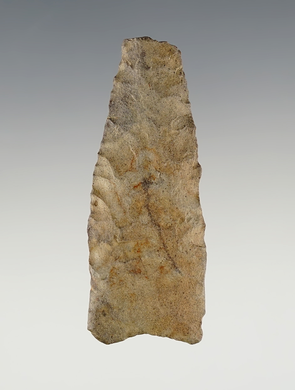 2 1/8" Paleo Clovis with an anciently damaged tip. Found in 2005 in Alamosa Co., CO.   COA.