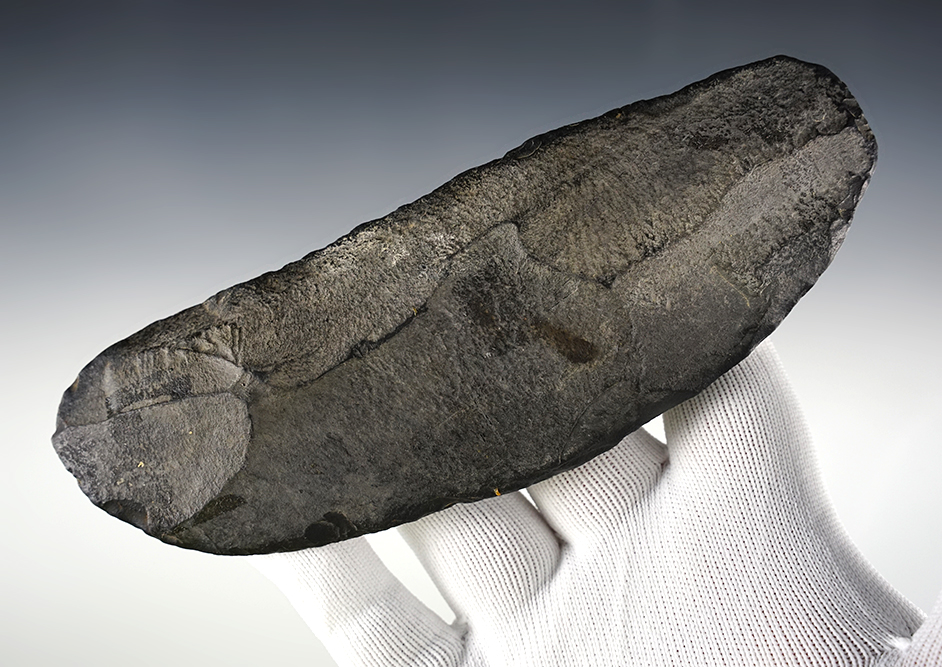 Large! 6 1/2" Paleo Knife found by Henry Bergman in Inyo Co., CA. Ex. Bergman Museum. COA. 