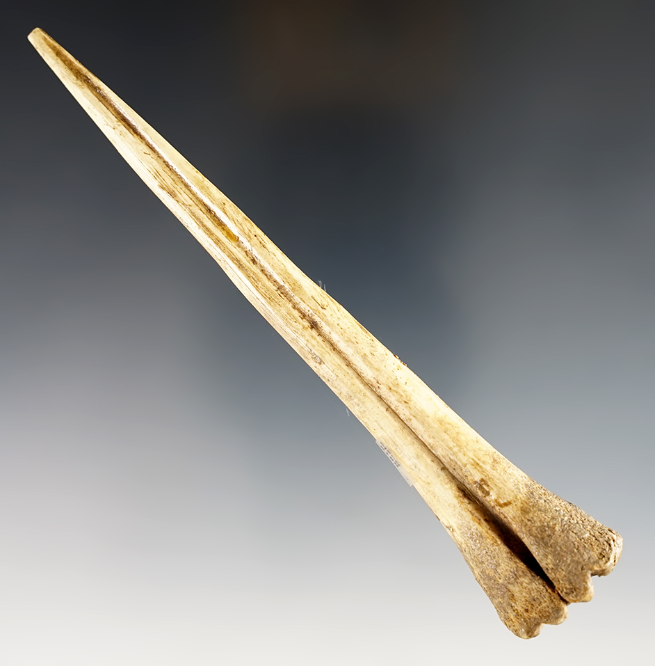 5 3/4" Bone Awl with good use polish. Found in Kentucky. Museum Deaccession. 