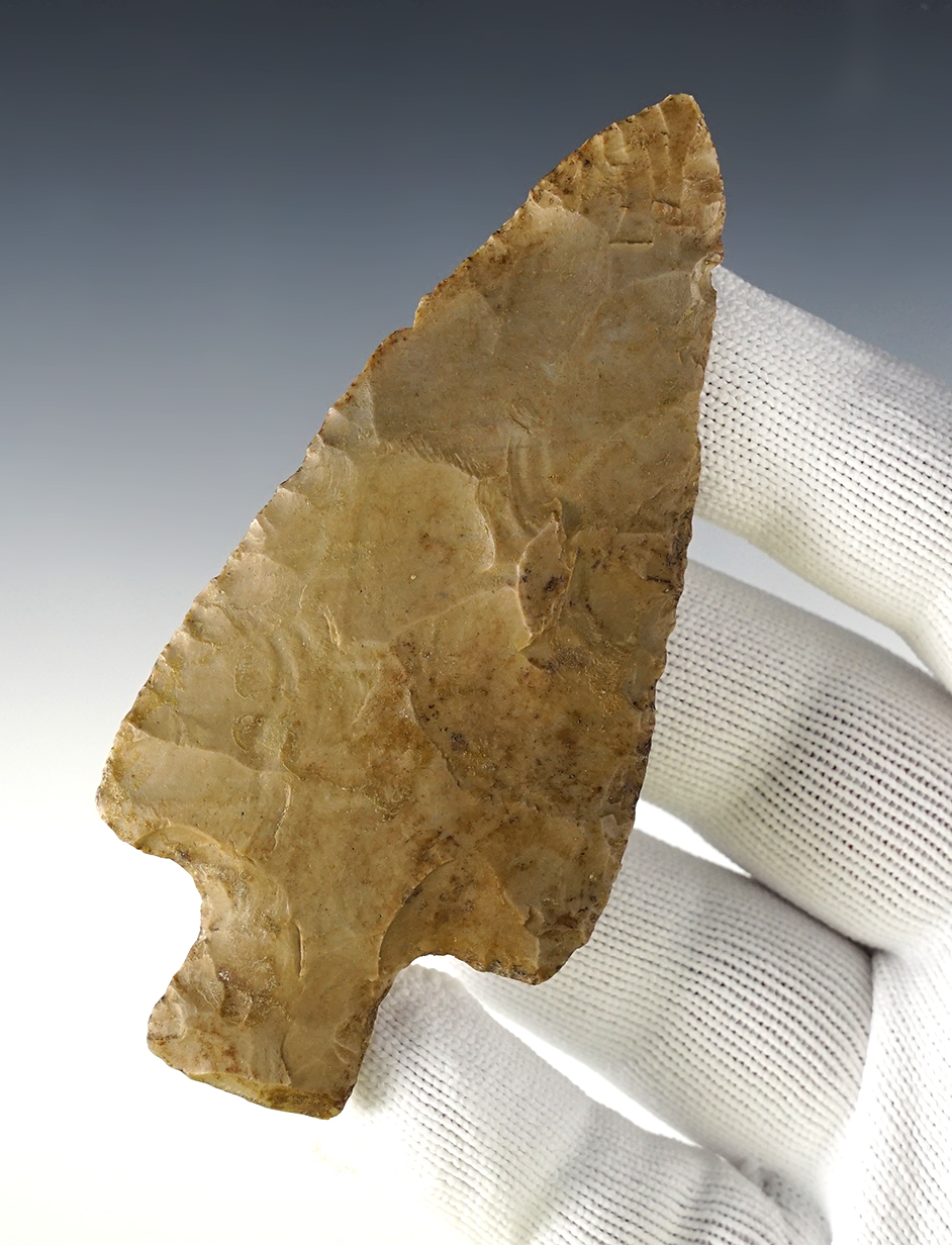 3 7/8" Robbins Adena made from tan chert. Found in Darke Co., Ohio. Stermer COA. 
