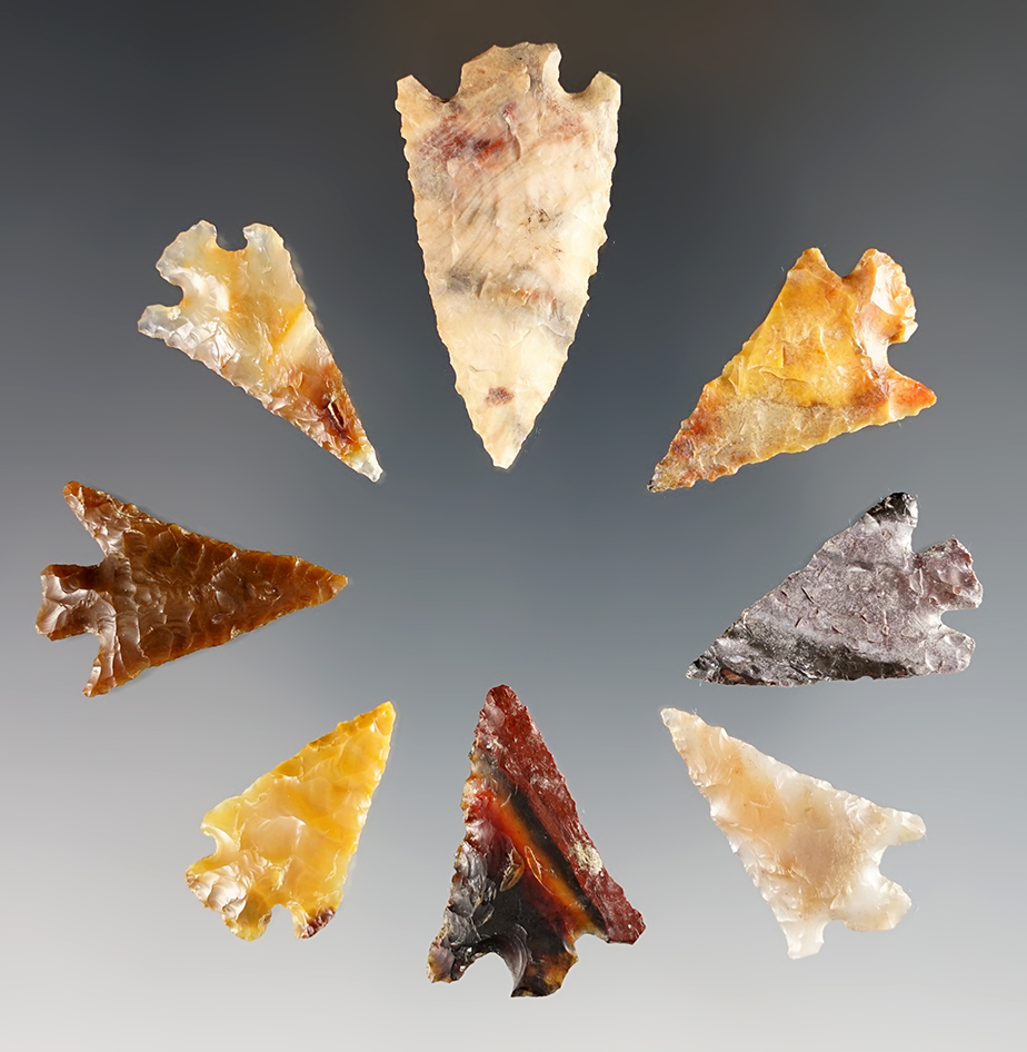 Group of 8 assorted arrowheads found along the Columbia River in Washington and Oregon.