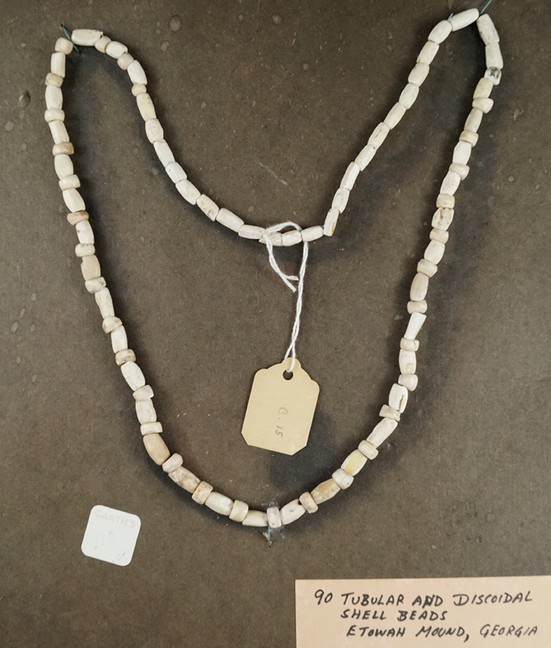 24" long strand of Shell Beads found at the Etowah Mound, Georgia.