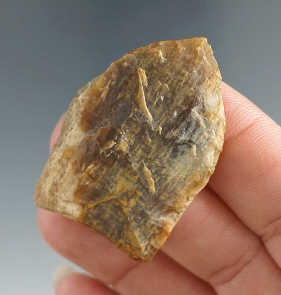 1 11/16" Plainview made from Petrified Wood, found in Arkansas. Comes with a Dickey COA.