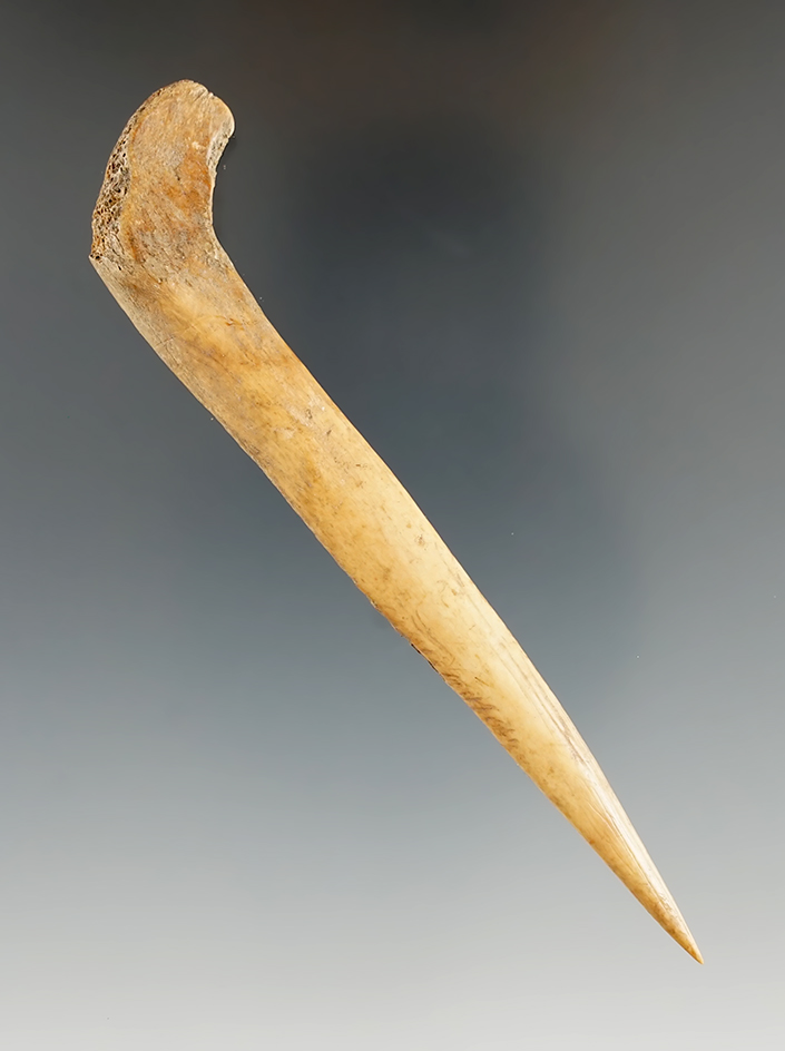 4 1/4" Bone Awl found by Norma Berg. Comes with a Bennett COA and COO.