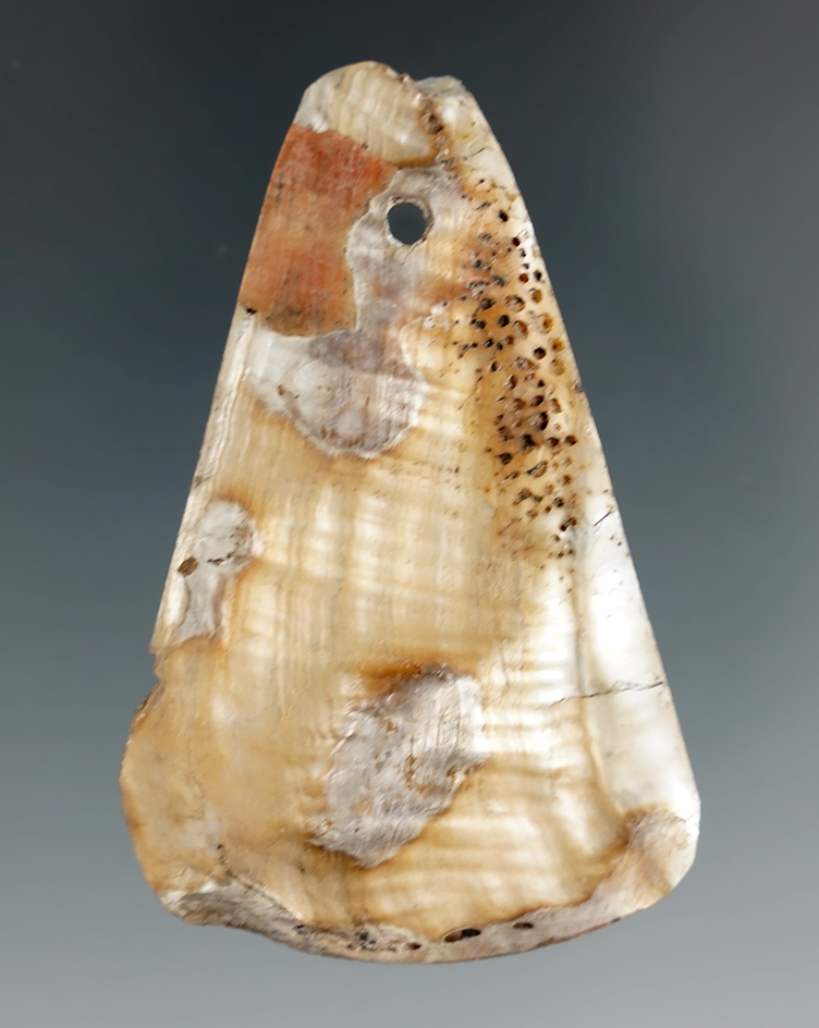 2 3/8" Shell Pendant found in California. Comes with a Bennett COA.