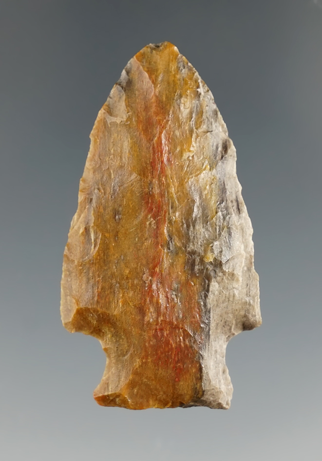 1 7/8" archaic stemmed point made from beautiful Multi-color petrified wood found in Louisiana.