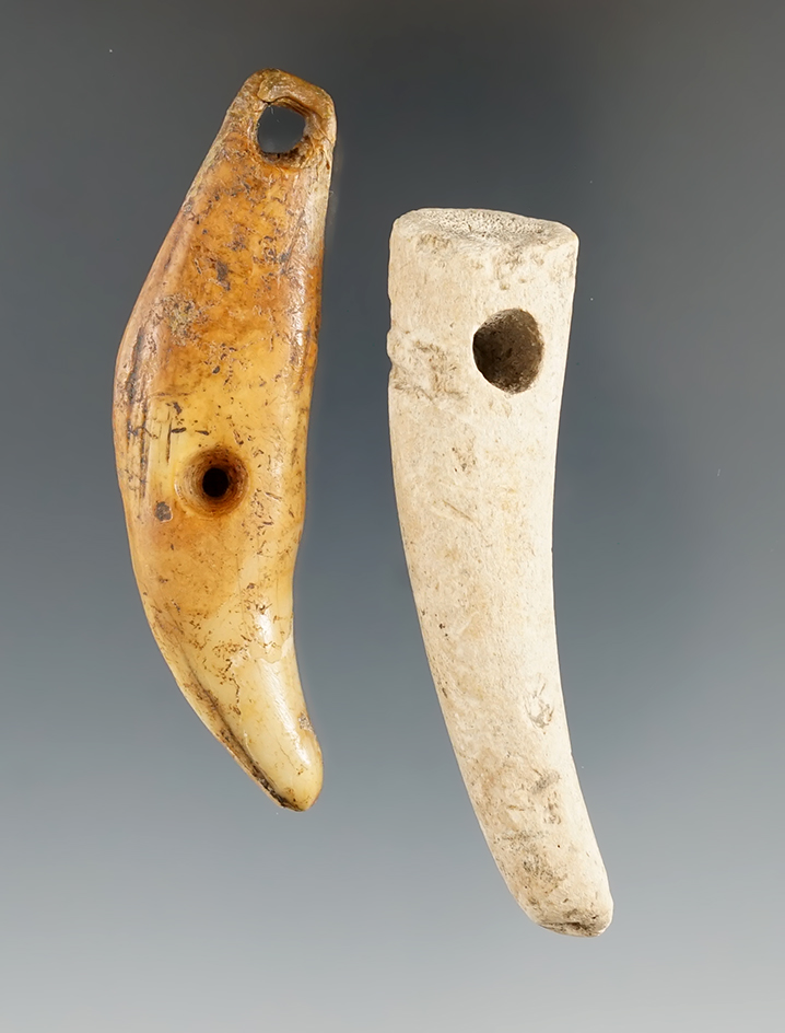 Pair of Tooth and Antler Pendants found by Bill Carter in Pulaski Co., Kentucky. Jackson COA.