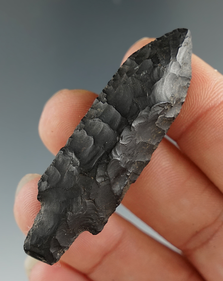 2 1/8" Bear point found in Alaska.