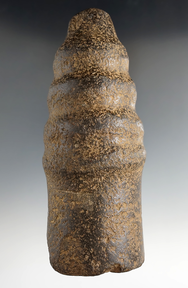 6 1/2" Rattle Snake Effigy Pestle that has been anciently salvaged. Columbia River. Bennett COA.