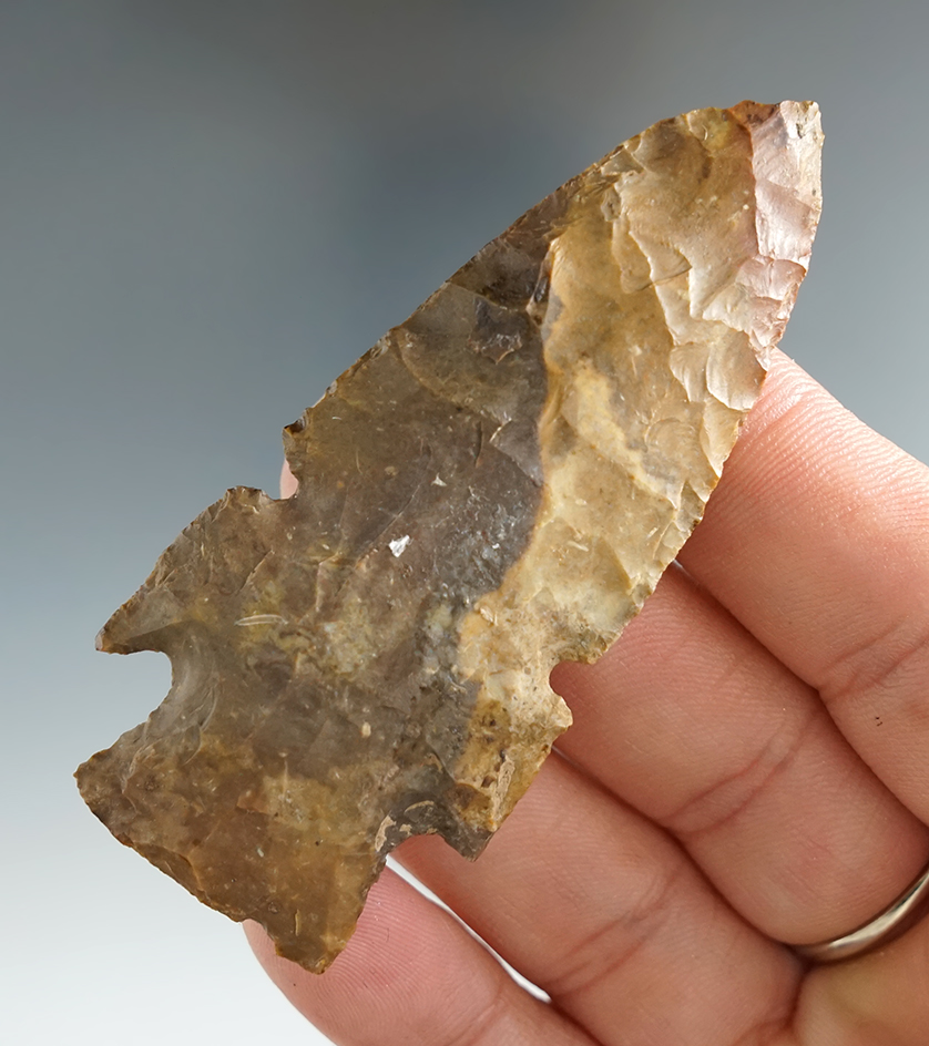 2 7/8" Evans made from Jasper, found in Poverty Point, Louisiana. Davis G-10 COA.