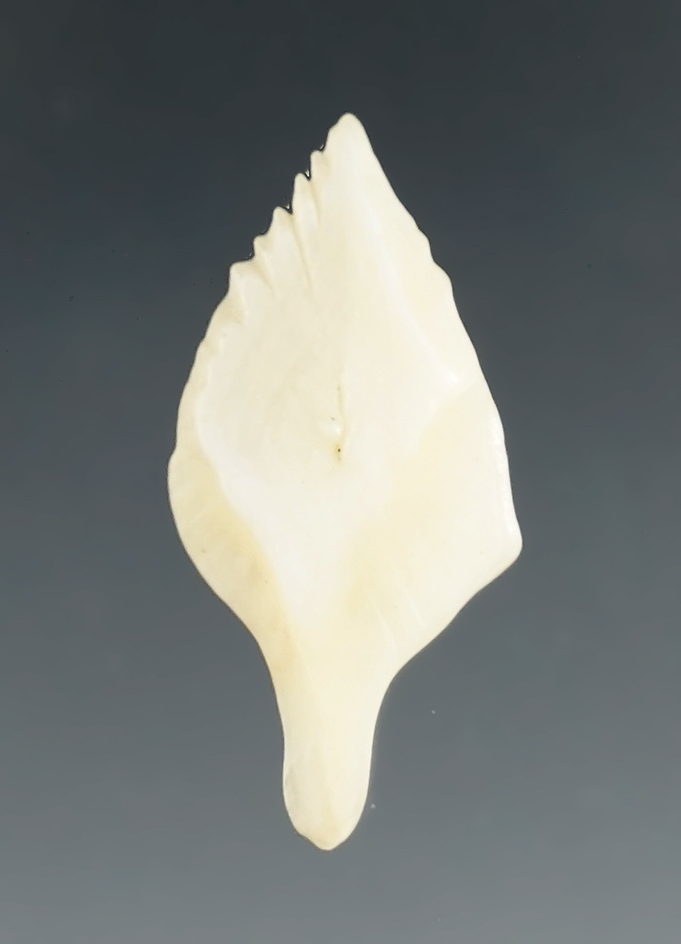 1 1/16" Gar Scale Arrowpoint found in Vanzandt Co., Texas. Comes with a Rogers COA.