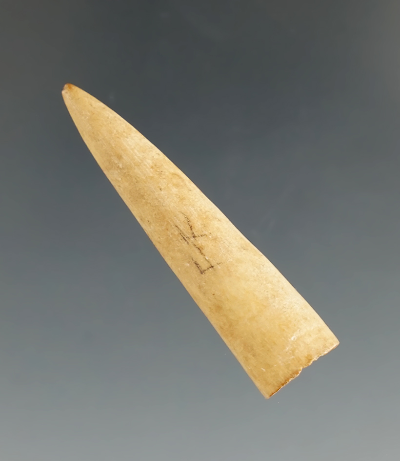 1 1/2" Deer Antler Point found by JR. Taylor in Owsley Co., Kentucky.  Davis G-10 COA.