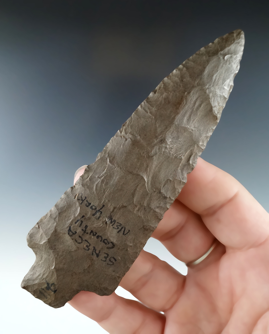 4 5/8" Esopus chert Genesee found in Seneca County New York.