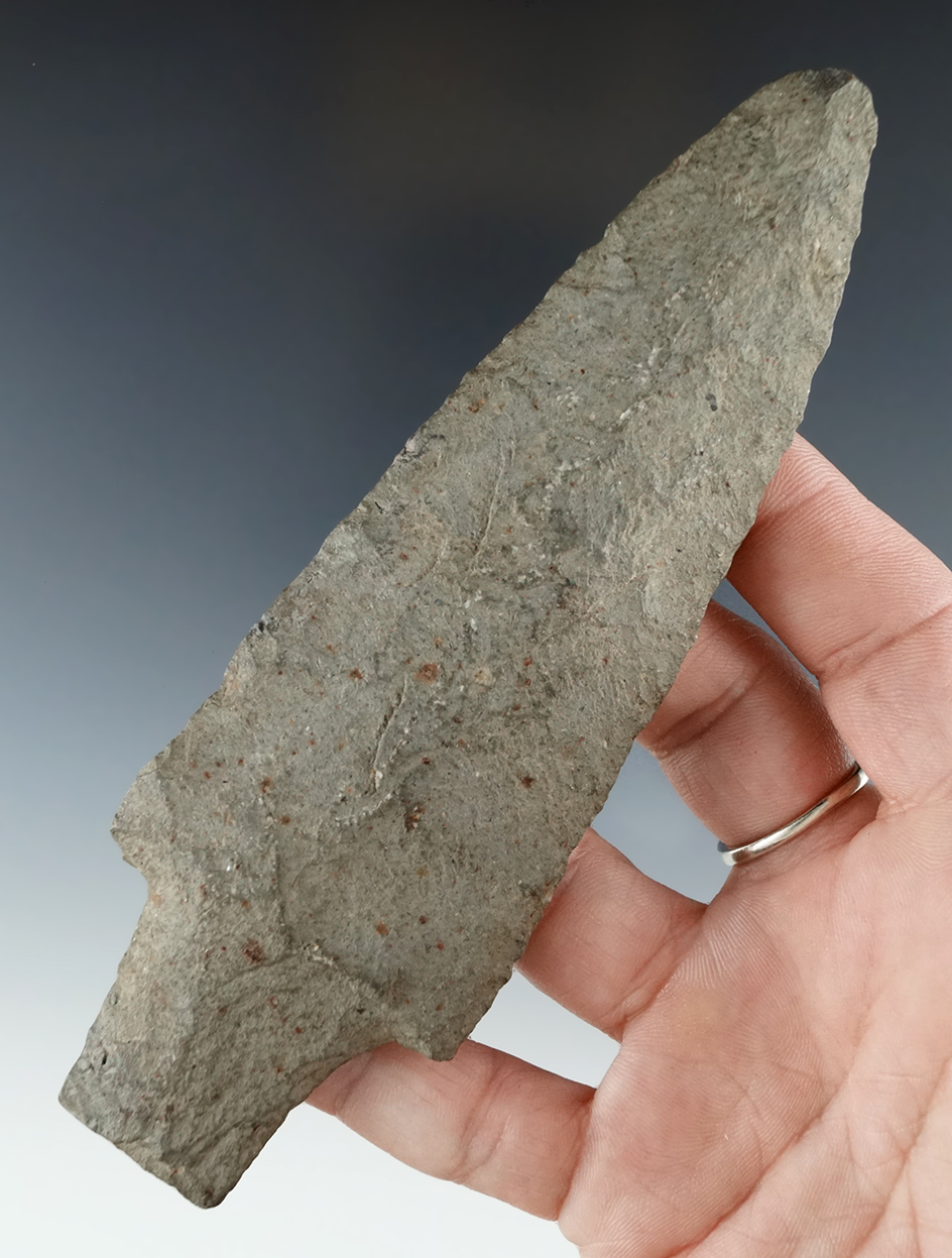 Large 5 1/2" Genesee - Felsite with restoration to a ding on the blade edge and one basal corner. NY