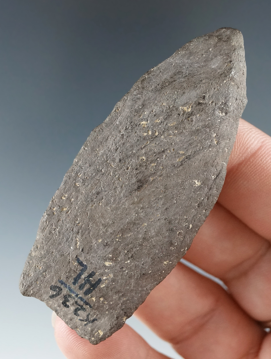 2 5/8" Fox Creek made from nicely polished Argillite found in New York. Ex. Howdy Lang collection.