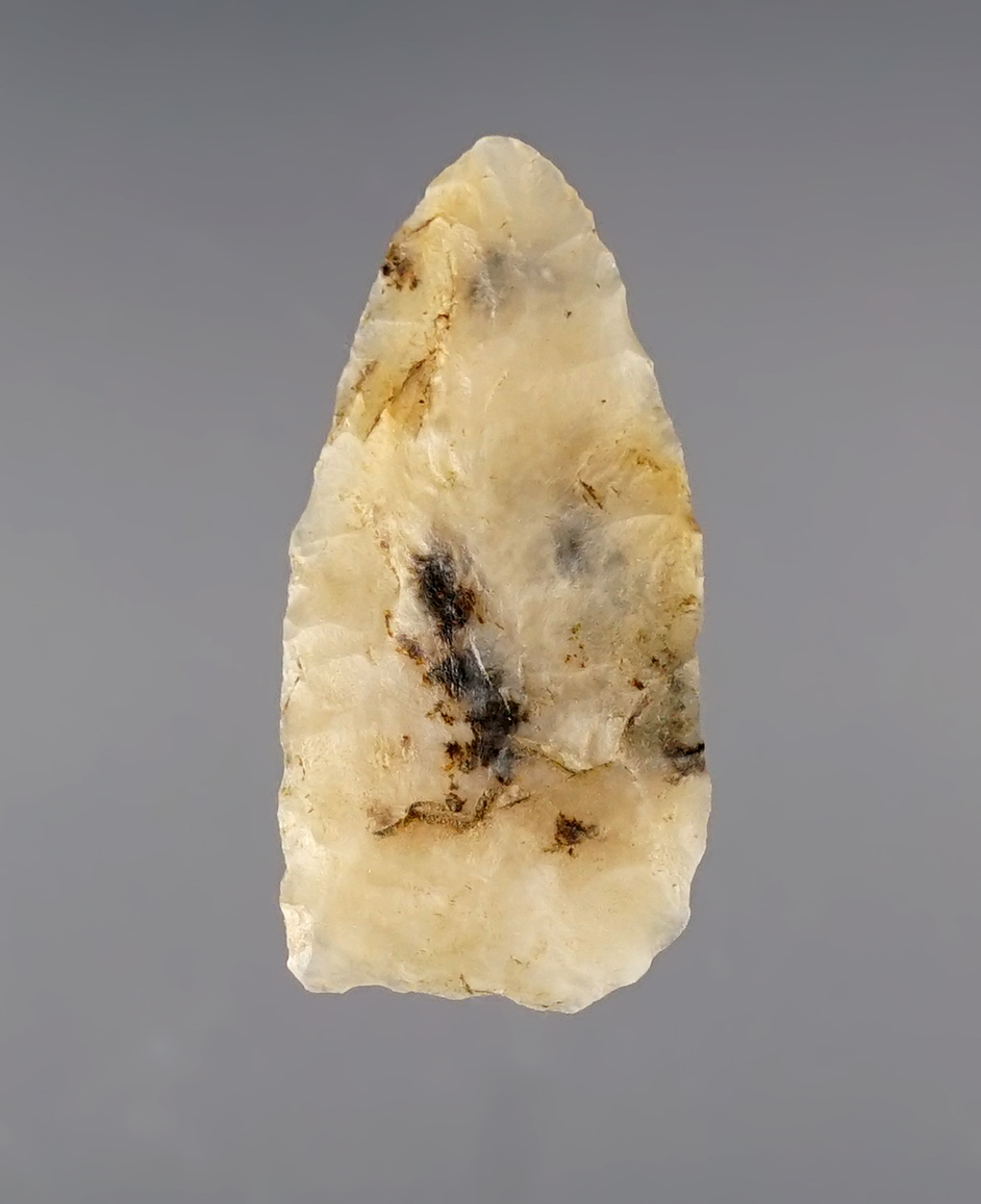 Rare Paleo type! Semi-translucent 1 1/4" Milnesand found South of Casper, Wyoming. COA.