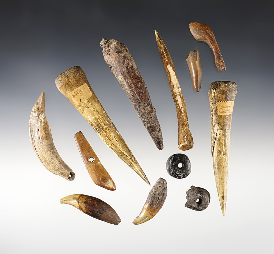 Set of 12 assorted Bone tools and animal Teeth found in Ohio. The largest is 3 3/4".