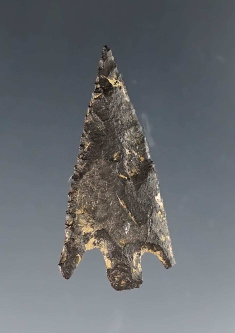 1 5/16" Columbia Plateau made from Basalt. Found in Oregon.