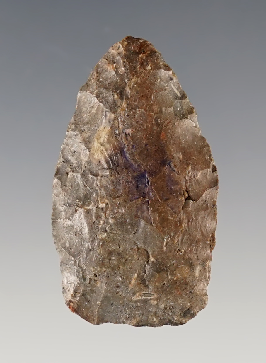 Heavily resharpened 1 1/2" Nebraska Scottsbluff made from gray Florence Chert. Stermer COA.