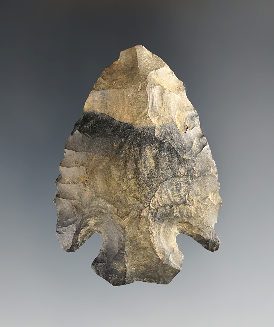 2 5/16" Archaic point made from Nellie Chert. Found in Ohio.