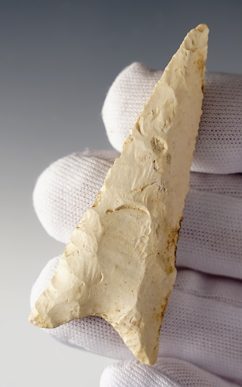 Nicely beveled 2 5/8" Dalton found in Columbia, Missouri. Ex. David Davidson.