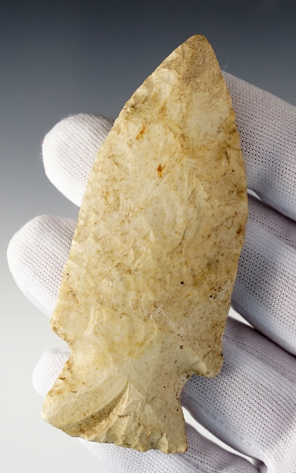 Nice 3 7/16" Etley found in the Missouri/Illinois area. Shows excellent age and minerals on surface.