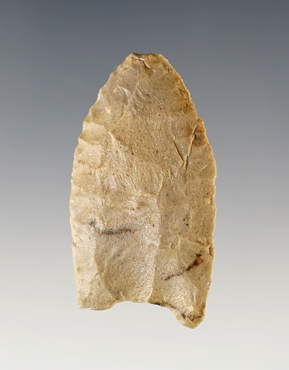 Nice 1 7/8" Colorado Fluted Paleo Clovis with heavy grinding. Rogers COA.