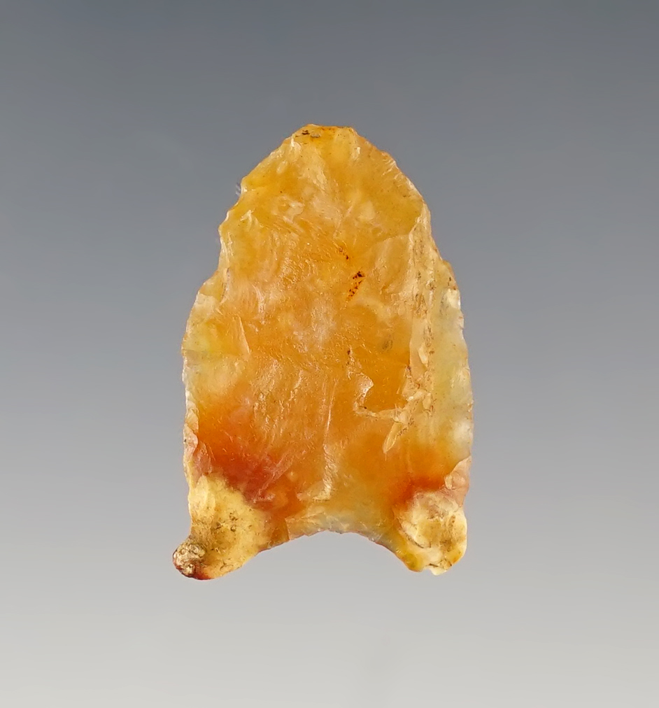 Highly translucent 1 1/16" Quad made from Coastal Plains Chert. Greene Co., Georgia. Stermer COA.